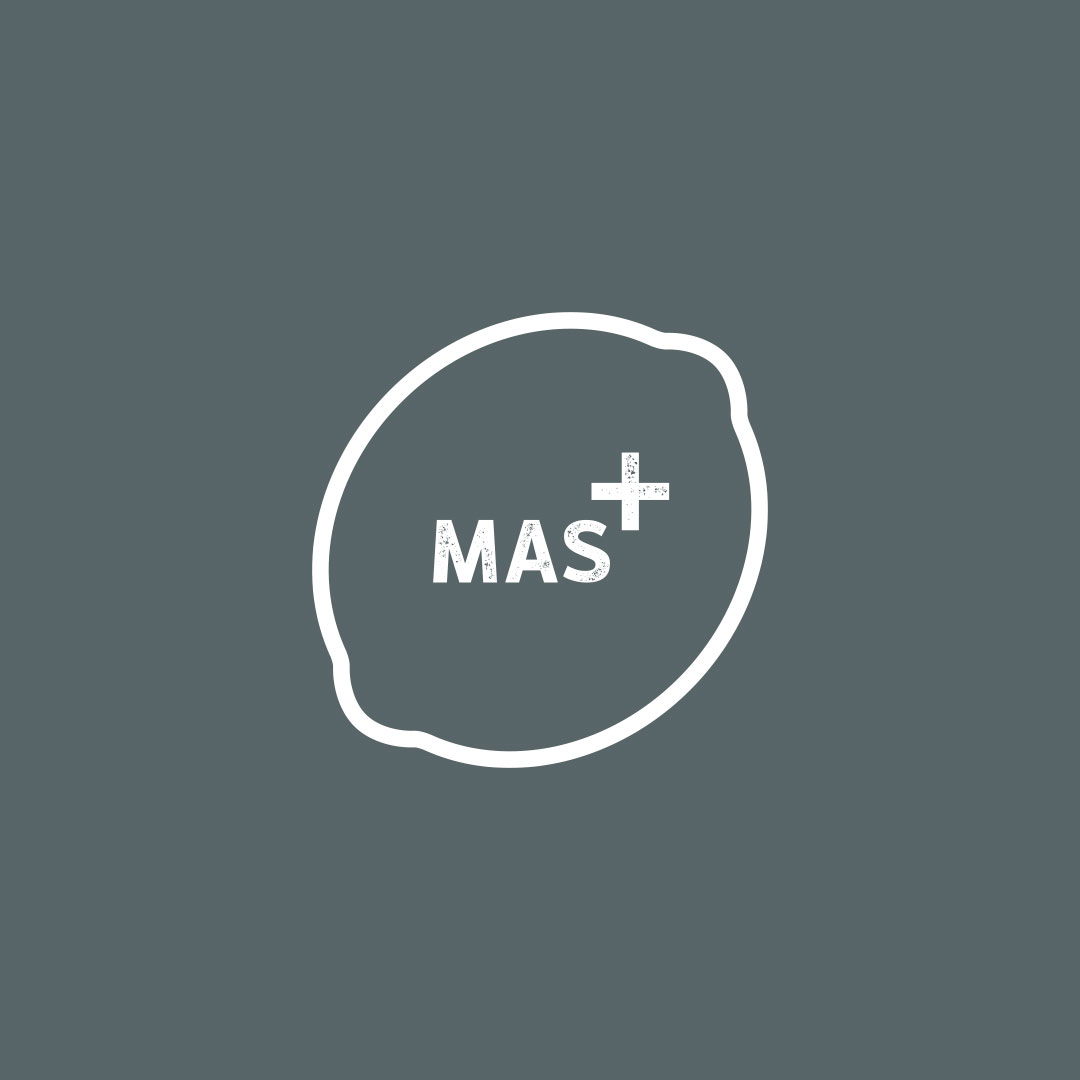 MAS logo gris