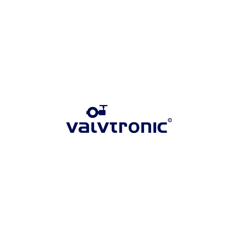 logo valvtronic
